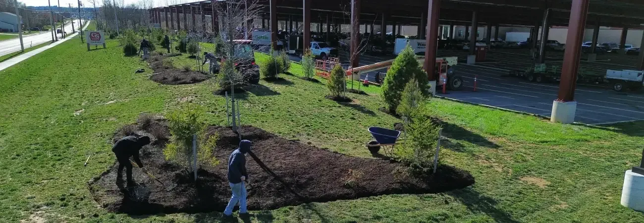 Professional tree services in Spring Grove PA including tree removal, trimming, and safe, well-maintained landscapes