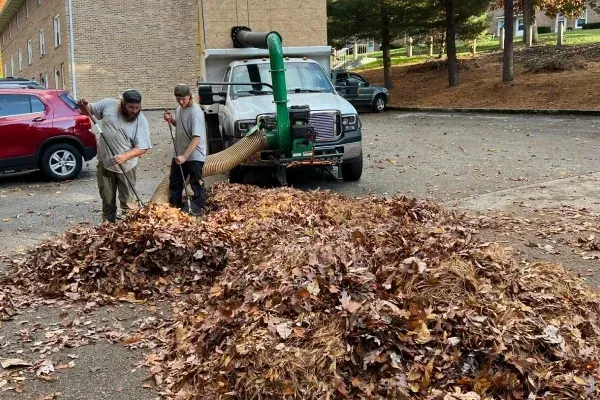 Seasonal leaf cleanup services in Spring Grove PA keeping lawns and landscapes clean healthy and well maintained