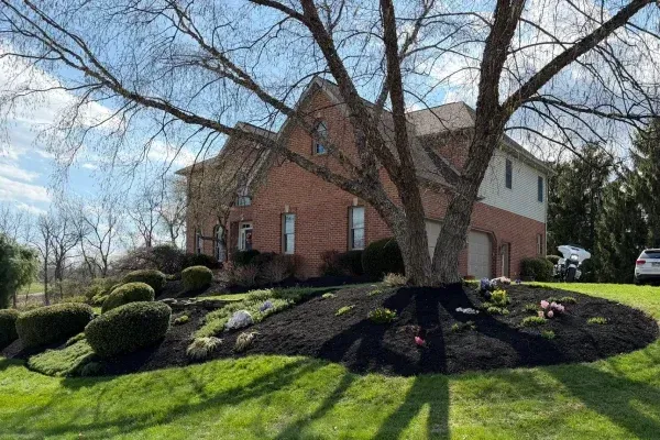 Seasonal mulch refresh in Spring Grove PA renewing landscape beds for a clean and polished outdoor look