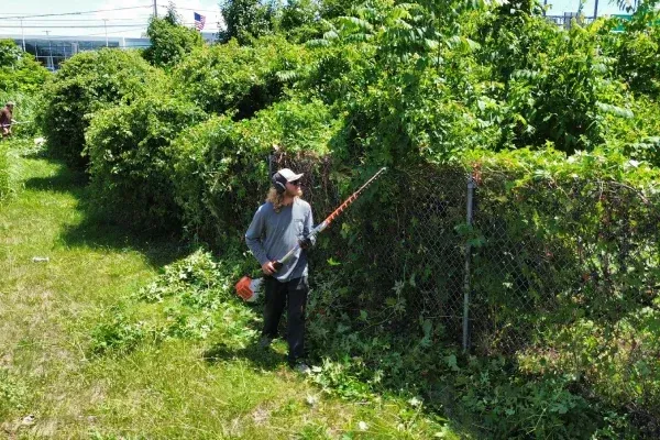 Seasonal spring yard cleanup in Spring Grove PA refreshing outdoor spaces with debris removal and landscape maintenance