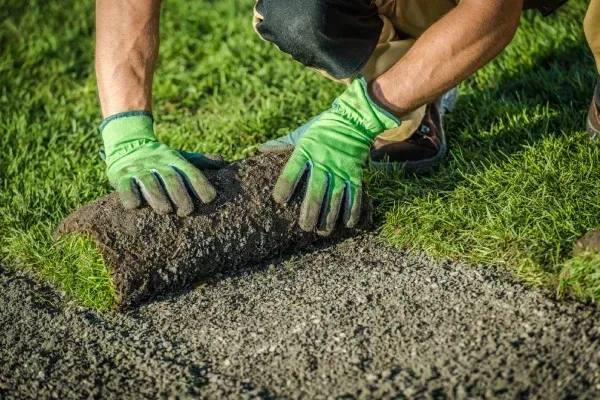 Sod installation services in Spring Grove PA providing instant green lawns with fresh professionally laid turf