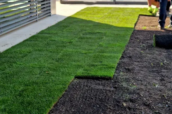 sod replacement in Spring Grove PA restoring damaged lawns with new thick and even turf