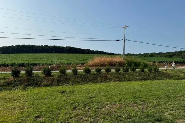 Spring cleanup services in Spring Grove PA removing winter debris and preparing landscapes for a healthy growing season