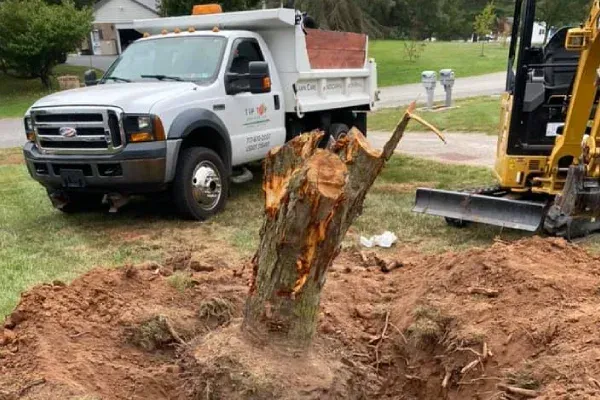 Stump grinding services in Spring Grove PA removing unwanted tree stumps to improve safety and landscape appearance