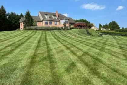 Healthy Lawn Full Website (Copy, 234 selected)