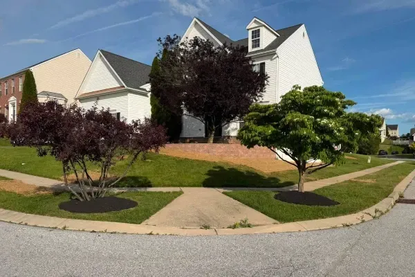Tree planting services in Spring Grove PA enhancing residential landscapes with healthy new trees for shade and curb appeal