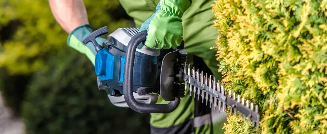 tree trimming and pruning in york county pa