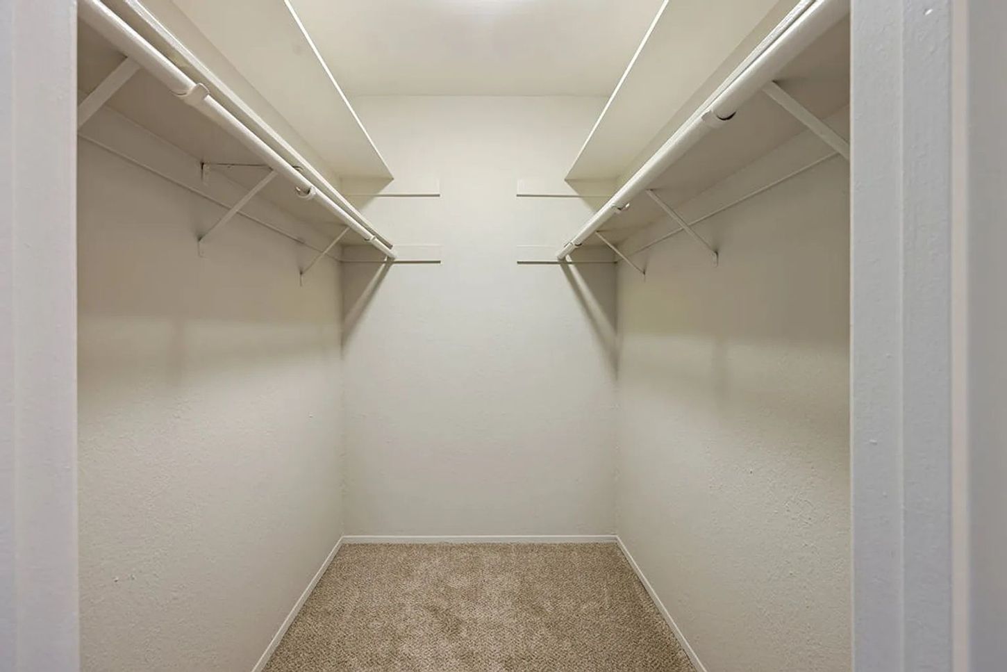Empty walk-in closet with white shelves and beige carpet.