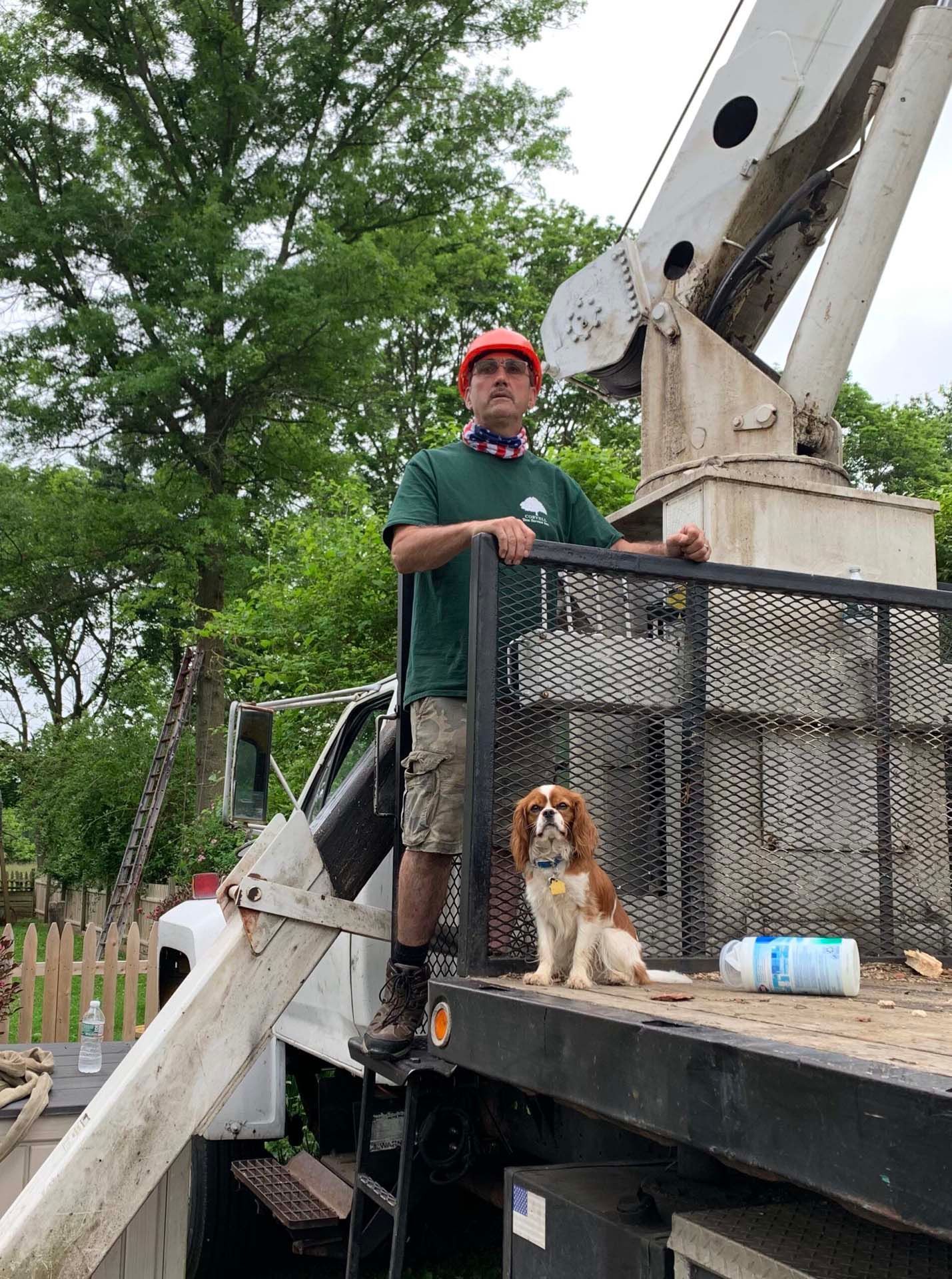The owners of Coryell Tree Service in Trenton, NJ - hard at work