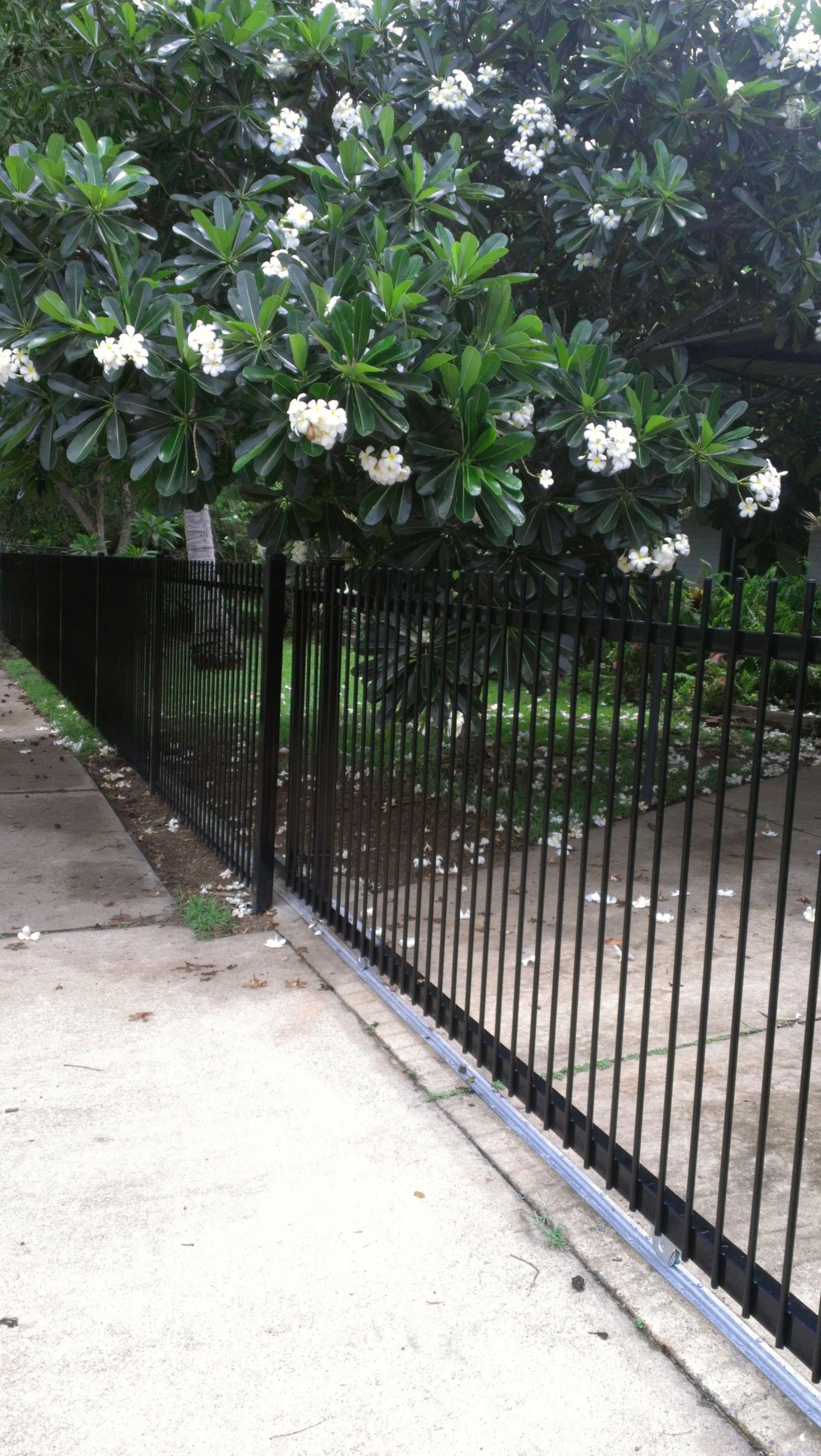 A Black Metal Fence Surrounds A Lush Green Yard — Fence Factory In Berrimah, NT