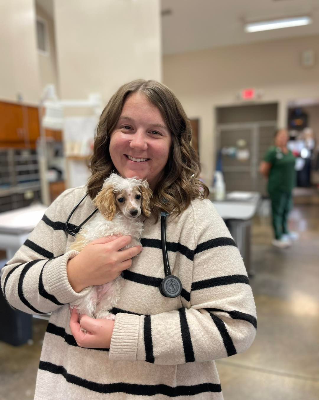 Woman holding a small white-and-brown dog indoors, smiling in a bright room