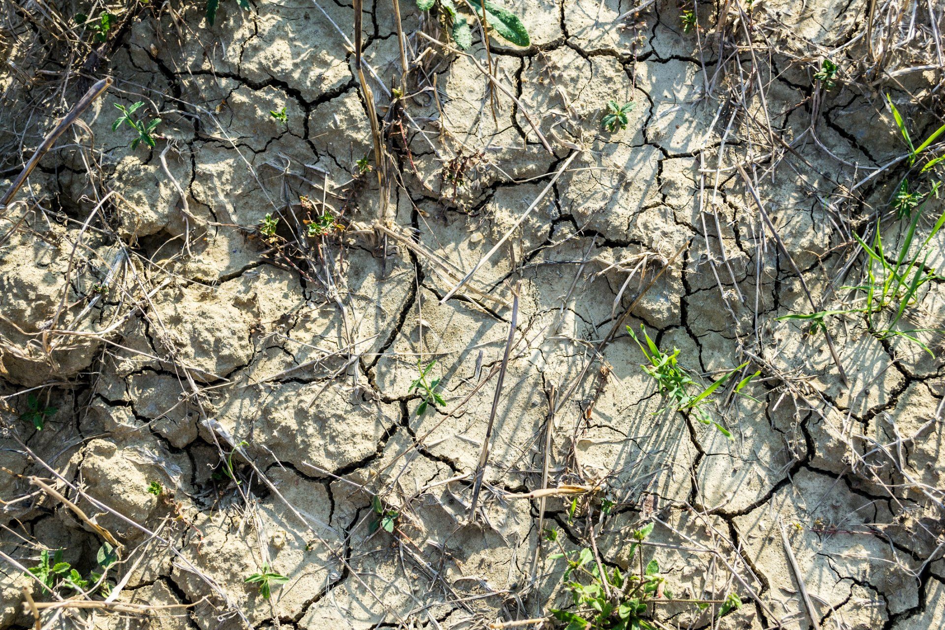 Dry Soil - Ashland, OH - Aztec Topsoil