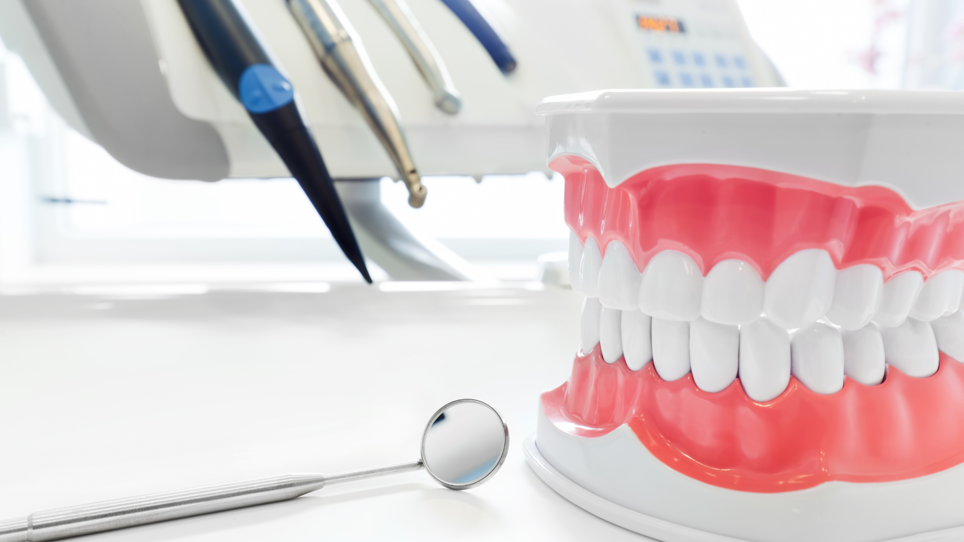 Dental model with pink gums and white teeth beside dental tools on a bright desk