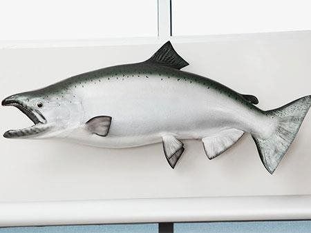 Mounted silver fish sculpture with open mouth and dark dorsal fin on a white wall
