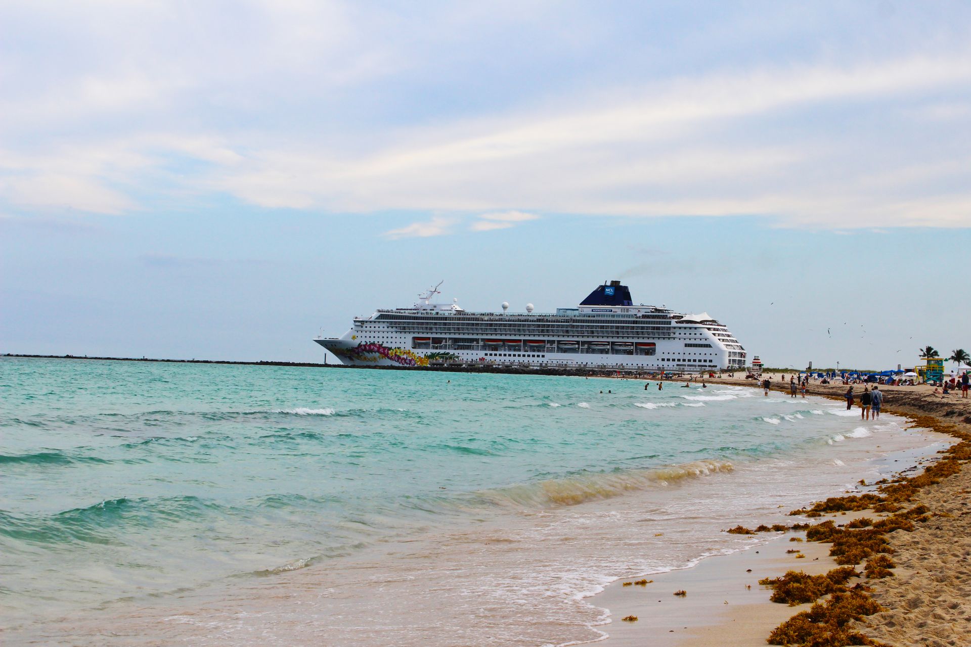 Jd Jiang jiang.realtor