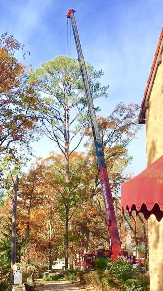Tall crane lifting near autumn trees beside a building with a red awning