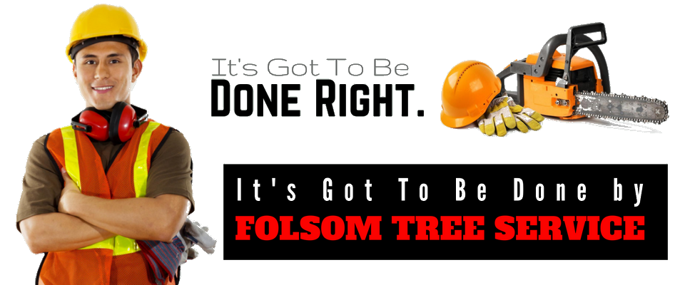 Tree service ad with worker in yellow hard hat and chainsaw; text: “Done right. Folsom Tree Service.”