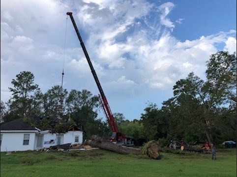 Crane lifting a tree near a white house in a grassy yard under a cloudy sky