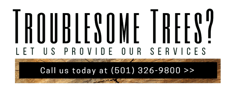 Tree service ad reading “Troublesome Trees? Let us provide solutions!” with phone number and call-to-action.