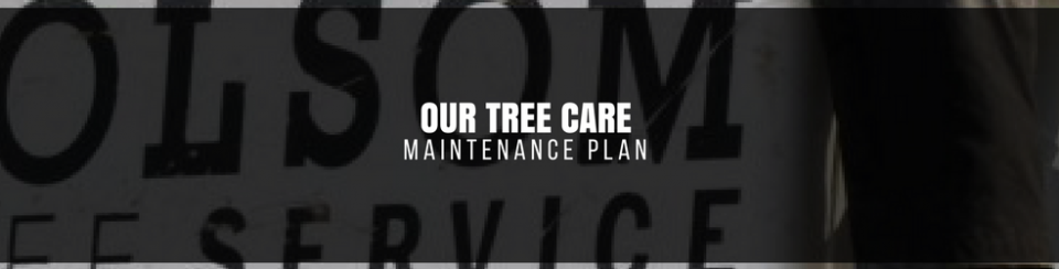 Tree care service banner with bold black-and-white text on a dark background