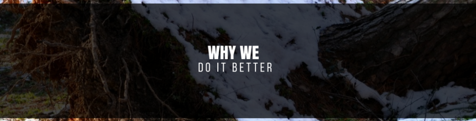 Dark forested mountain scene with a snowy stream and the text “WHY WE DO IT BETTER” centered.