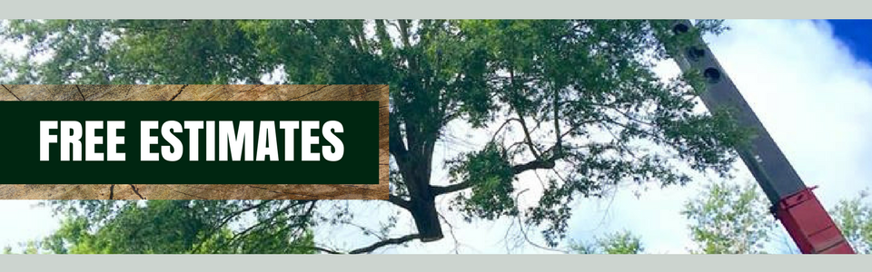 “FREE ESTIMATES” sign over trees and a raised boom truck arm