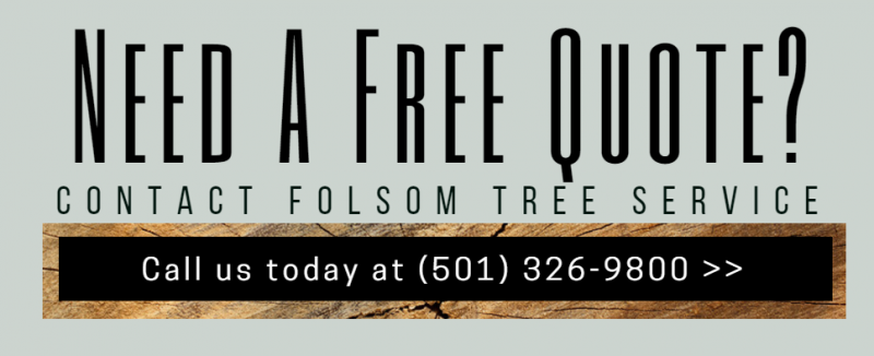 Free quote ad for Coastal Tree Service with phone number 501-326-9800 and a call-to-action button.