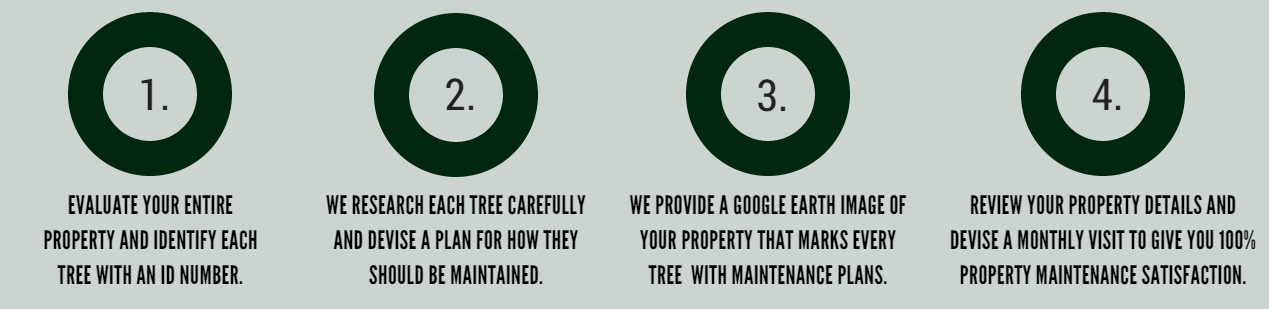 Infographic with four numbered circles describing a 4-step process on a light background.