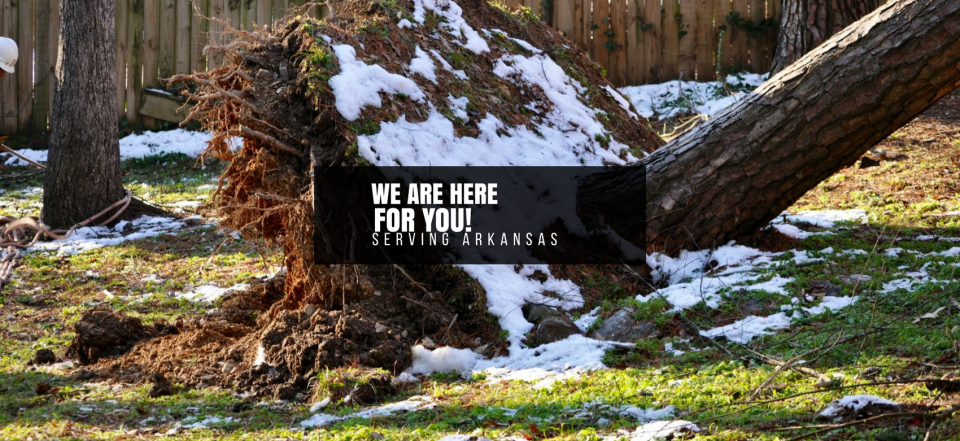Black sign on fallen tree trunk in snowy yard reads “WE ARE HERE FOR YOU.”