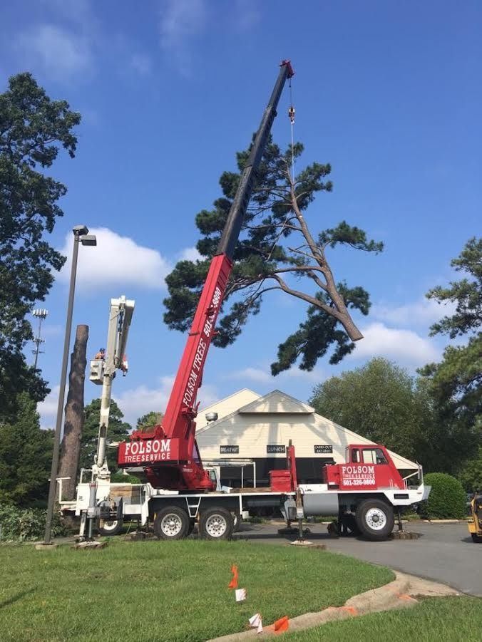 Crane truck lifting a tree branch in a grassy neighborhood area under a blue sky.