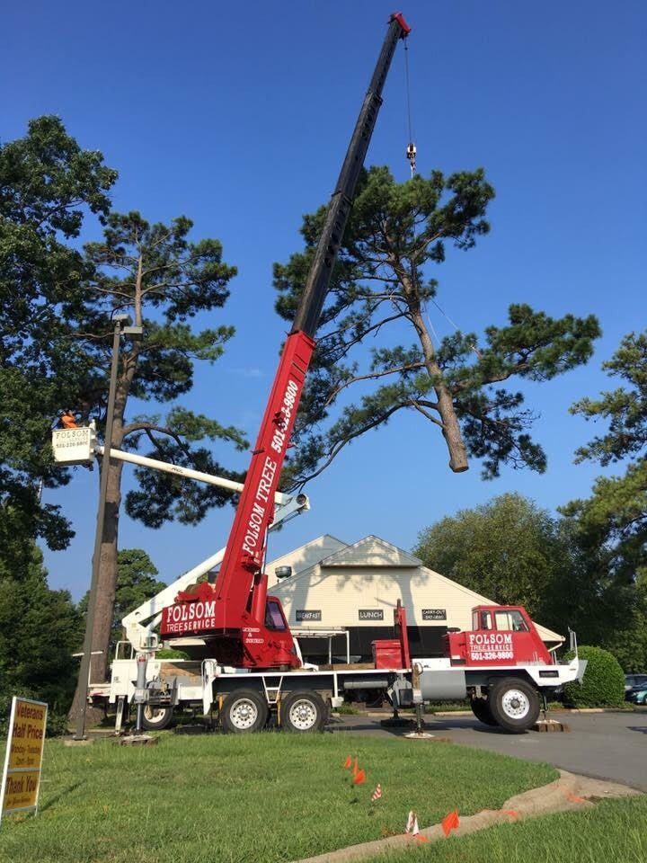 Red crane truck trimming tree branches beside a house on a sunny day