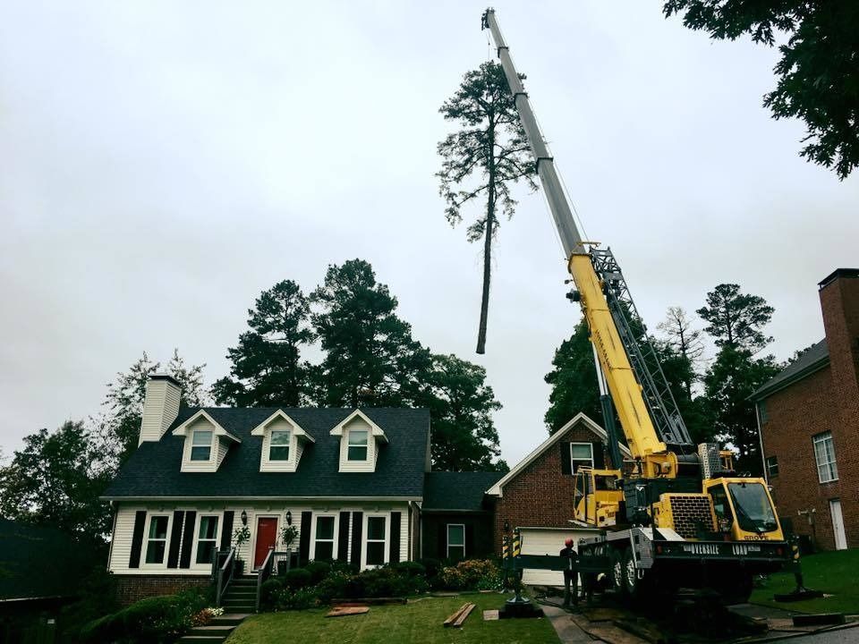 Crane removing a tall tree beside a green house and brick building on a cloudy day