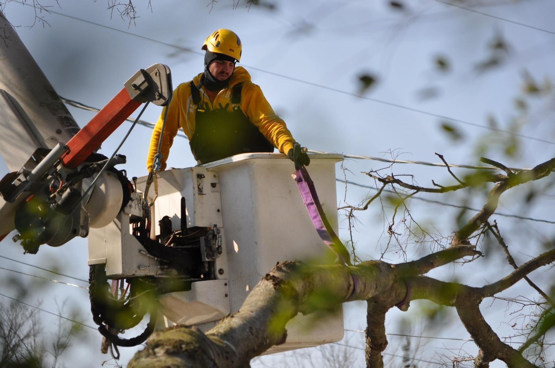 Tree trimmer in yellow safety gear operates a lift among bare branches.