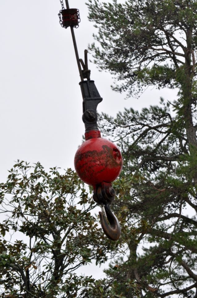 Red crane hook block hanging among tree branches outdoors