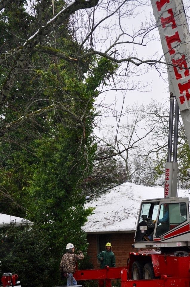Snowy yard with a crane lifting a tree beside a house, with two workers nearby