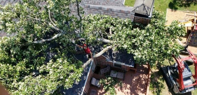Overhead view of a fallen tree branch over a yard, with a red truck and house nearby