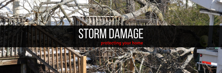 Storm-damaged trees and debris behind a black banner reading “STORM DAMAGE”