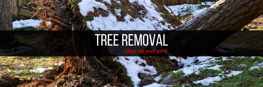 Tree trunk fallen across a snowy forest scene with “TREE REMOVAL” text overlay