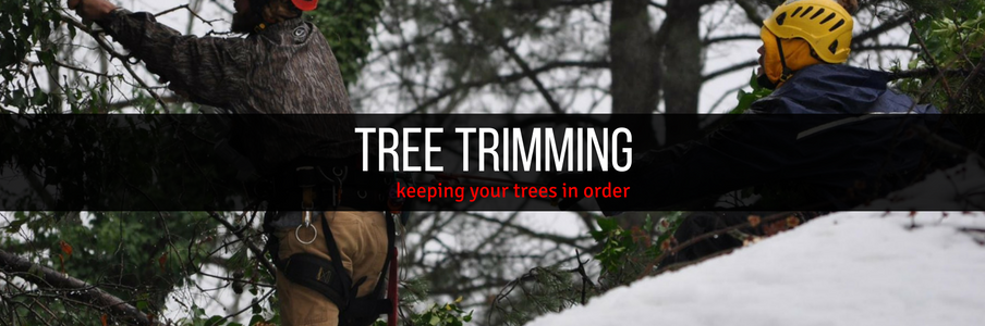Tree trimming service banner with worker in yellow helmet cutting branches outdoors
