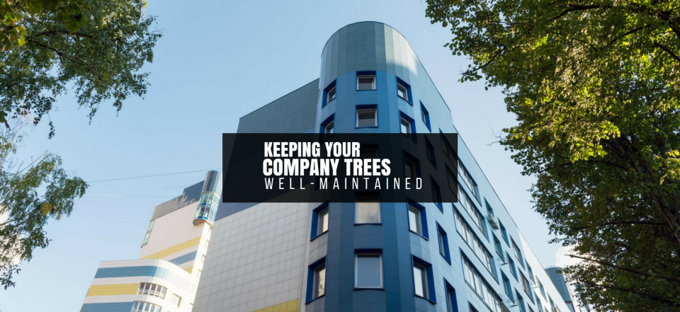 Glass office building with a black banner reading “KEEPING YOUR COMPANIES WELL-MANAGED”