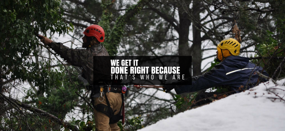 Two helmeted climbers on a tree hold a sign reading “We get it done because…”