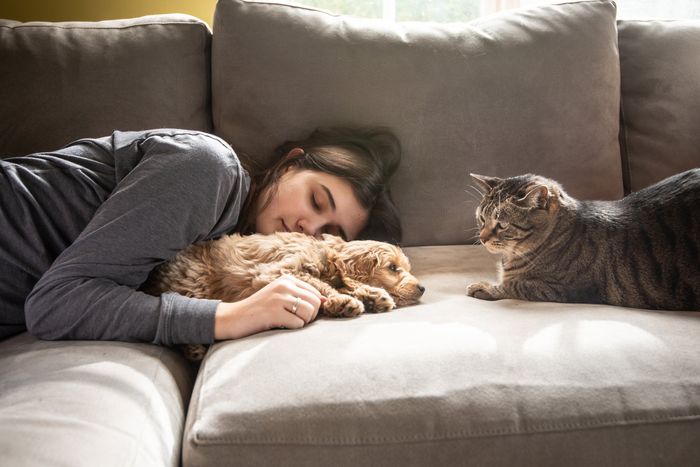 Girl and Her Pets on Couch — Edmonton, QLD — Sam’s Carpet Steam Cleaners