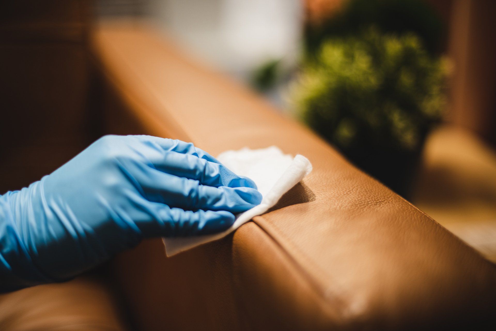 Wiping Down Leather Sofa Surface — Edmonton, QLD — Sam’s Carpet Steam Cleaners