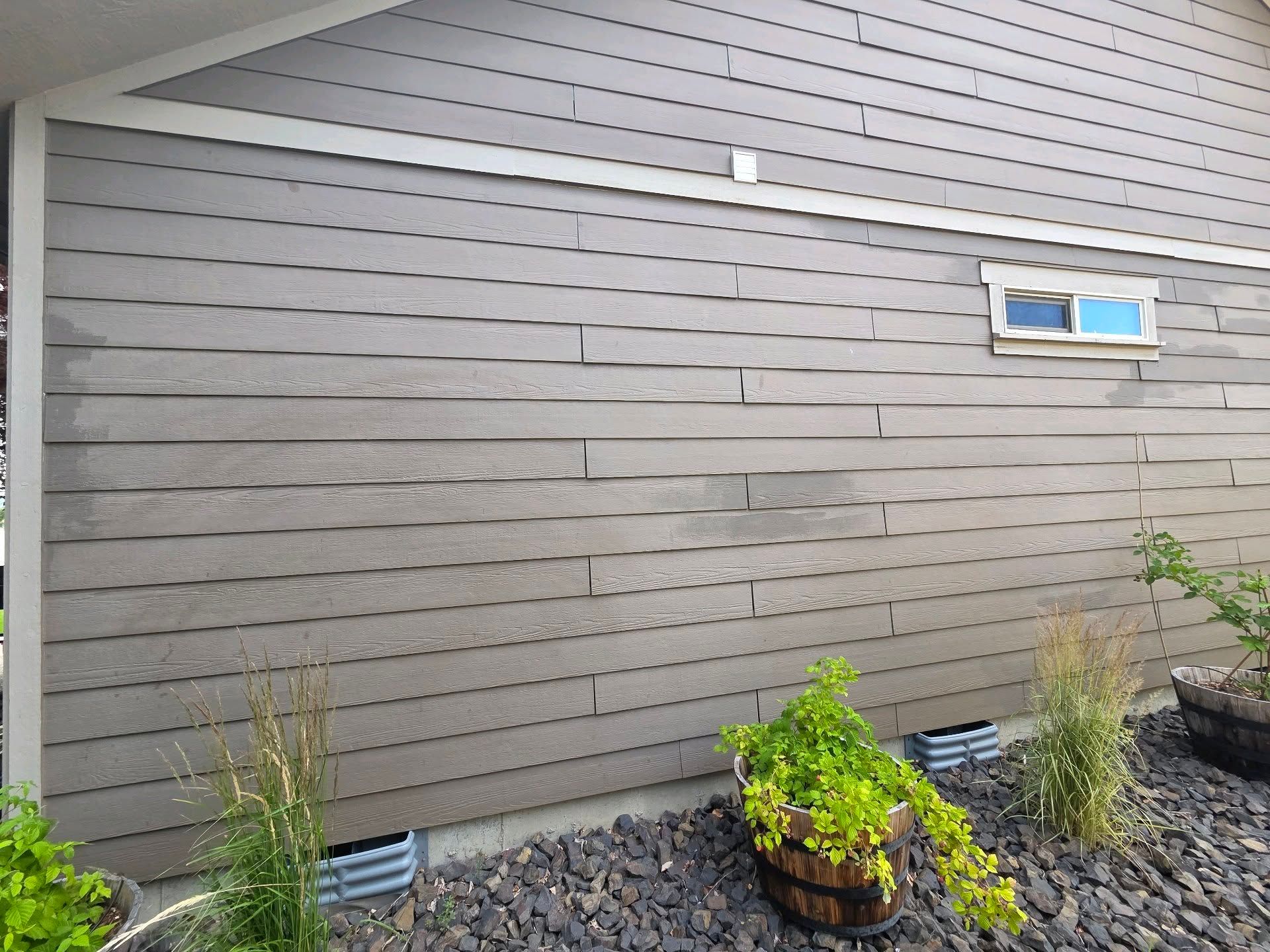 Gray house wall with horizontal siding, small window, and garden plants along the base