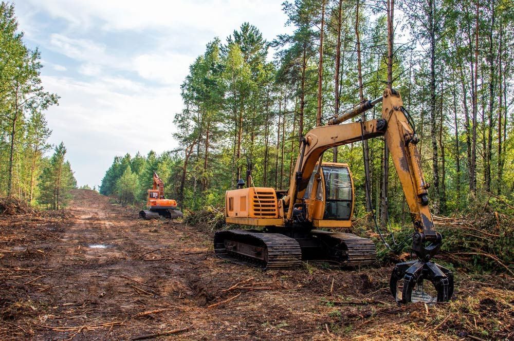 Land Clearing Services Ripon