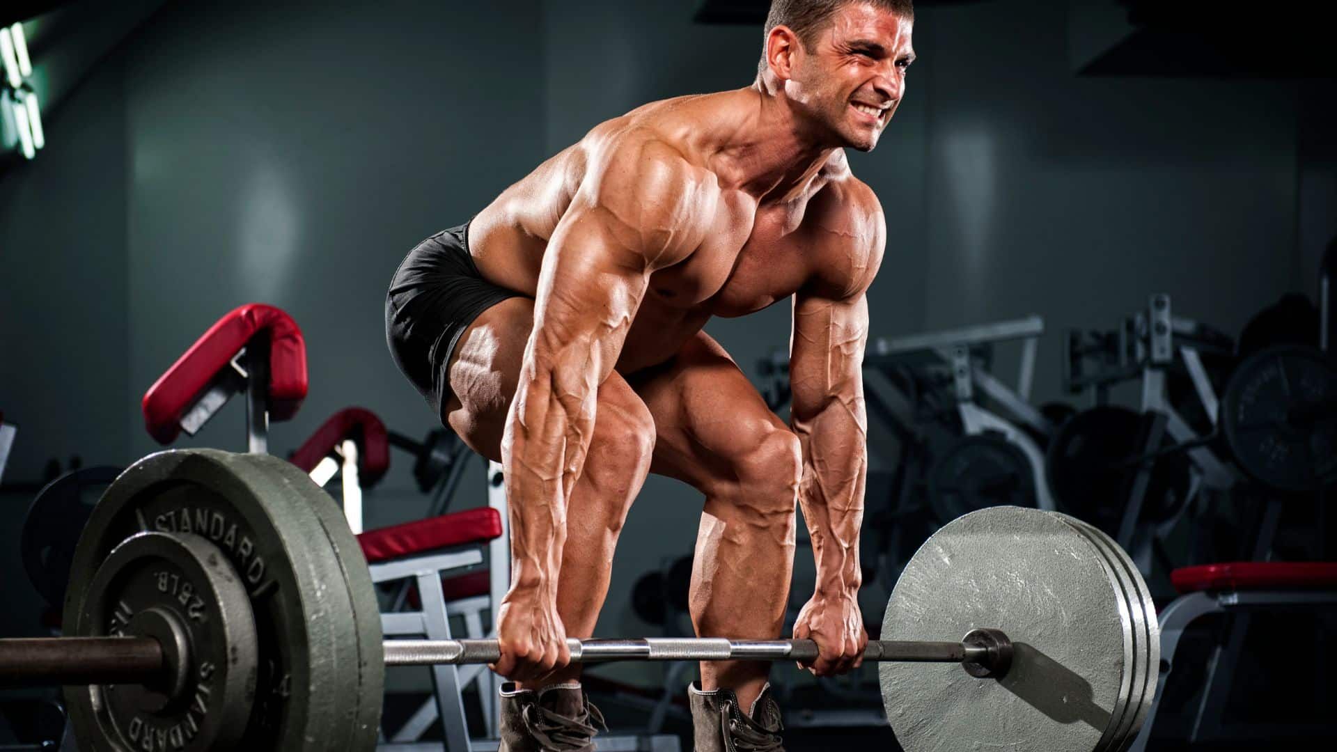 A man is lifting a barbell in a gym.