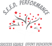 SEED Performance LLC