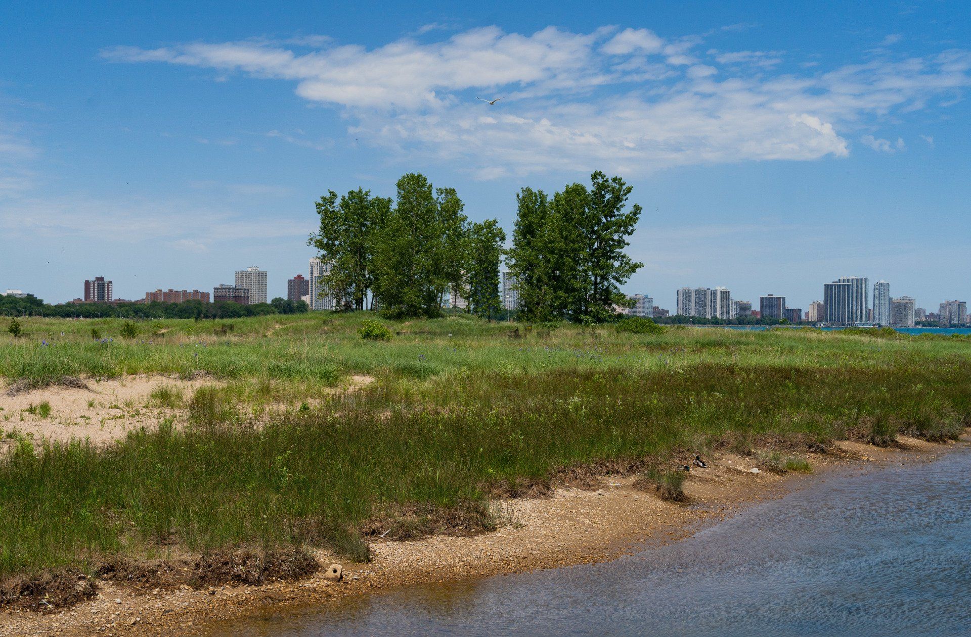 Beach area in Uptown/ Ravenswood area