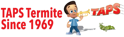 Termite Pest Control Service in San Jose, CA | TAPS Termite, Inc Termite Pest Control Service in San Jose, CA | TAPS Termite, Inc