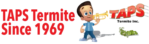 Termite Pest Control Service in San Jose, CA | TAPS Termite, Inc Termite Pest Control Service in San Jose, CA | TAPS Termite, Inc